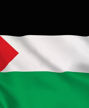 المنعقد بتاريخ 21 ماي 2021 حول مساندة الشعب الفلسطيني